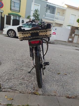 Bicicleta eléctrica