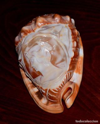 PRECIOSO CAMAFEO ANTIGUO TALLADO EN CONCHA