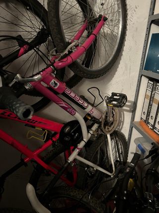 Bicicleta agece 355 24