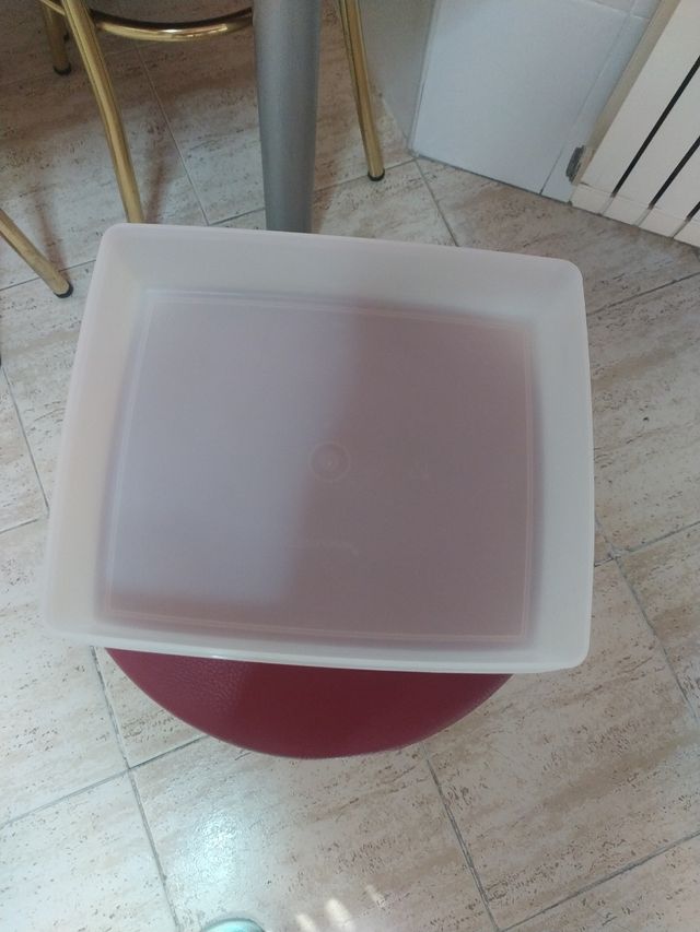 Envase tupperware