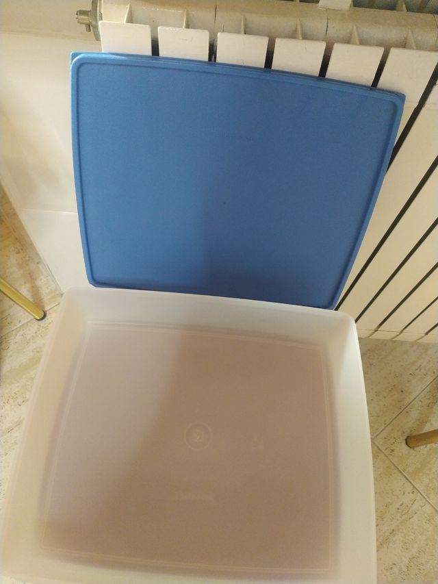 Envase tupperware