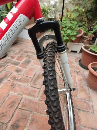 Bicicleta Zephyr