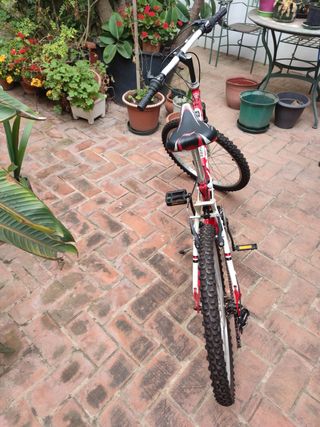 Bicicleta Zephyr