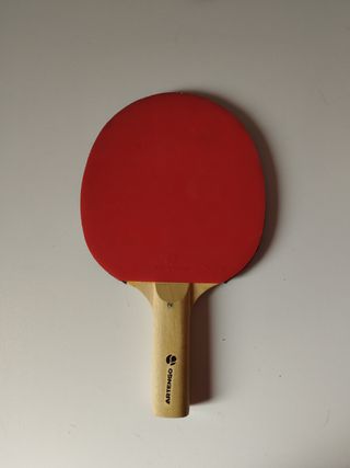 Pala de ping pong 