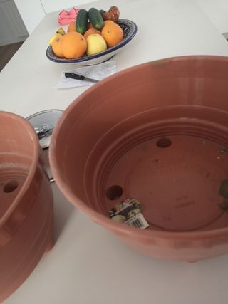 Macetas con patas. Nuevas