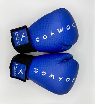 Guantoni da boxe