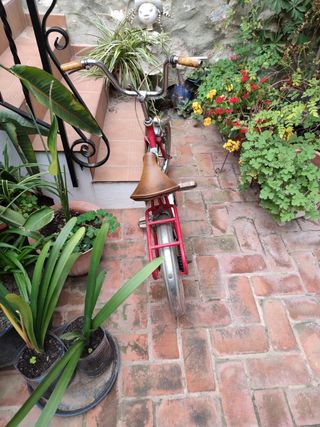 Bicicleta clásica 