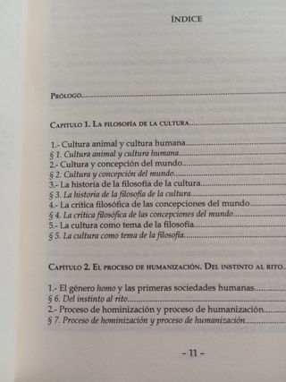 Filosofía de la cultura