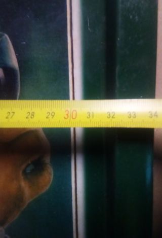 Bandeja BODEGAS RIOJANAS