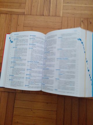 Deccionario primaria lengua española