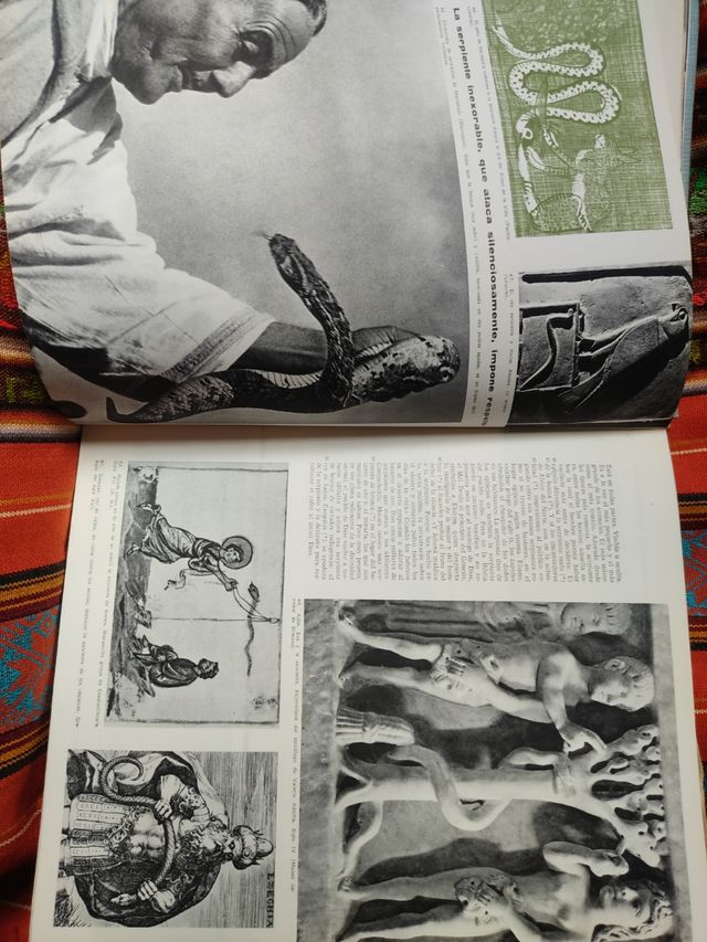 EL HOMBRE Y EL ANIMAL