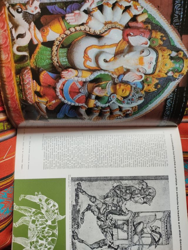 EL HOMBRE Y EL ANIMAL