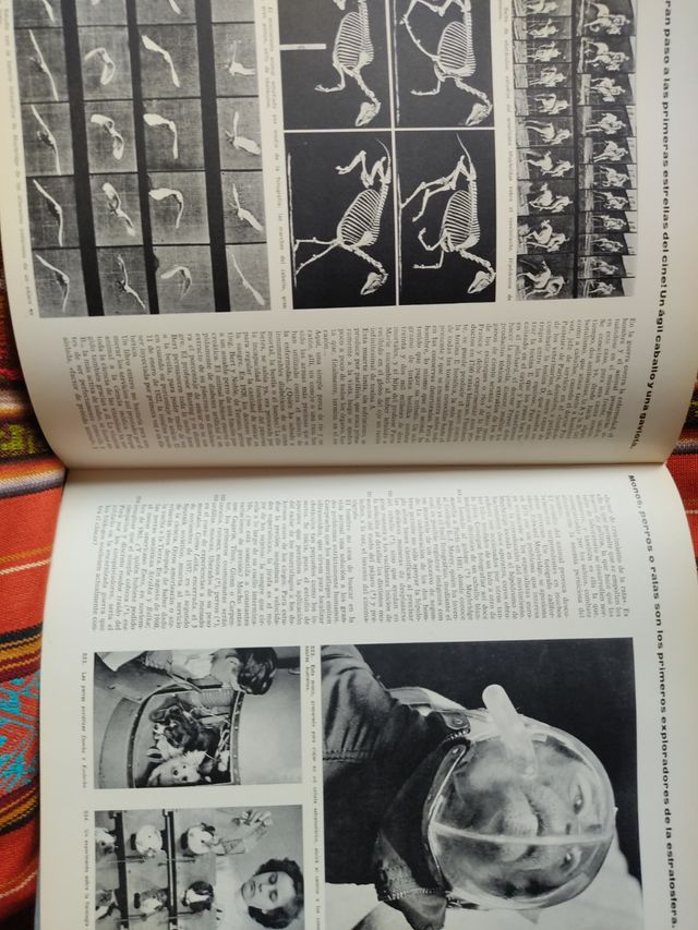 EL HOMBRE Y EL ANIMAL