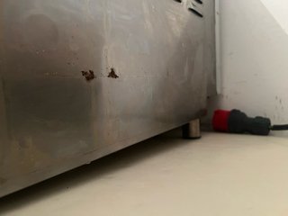 Horno Industrial Inoxtrend