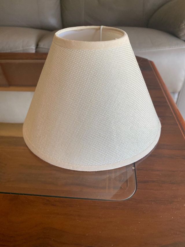 Tulipas color beige claro