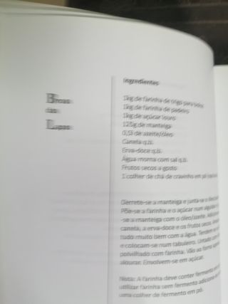 docura torresjana 2008/2009