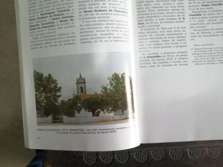 patrimonio artistico do concelho de torres novas