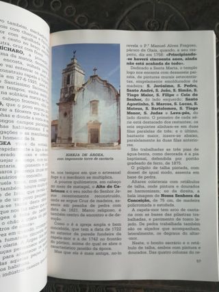 patrimonio artistico do concelho de torres novas