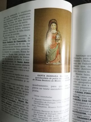 patrimonio artistico do concelho de torres novas