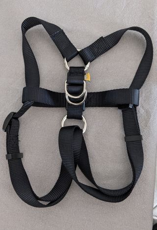 Pettorina cane