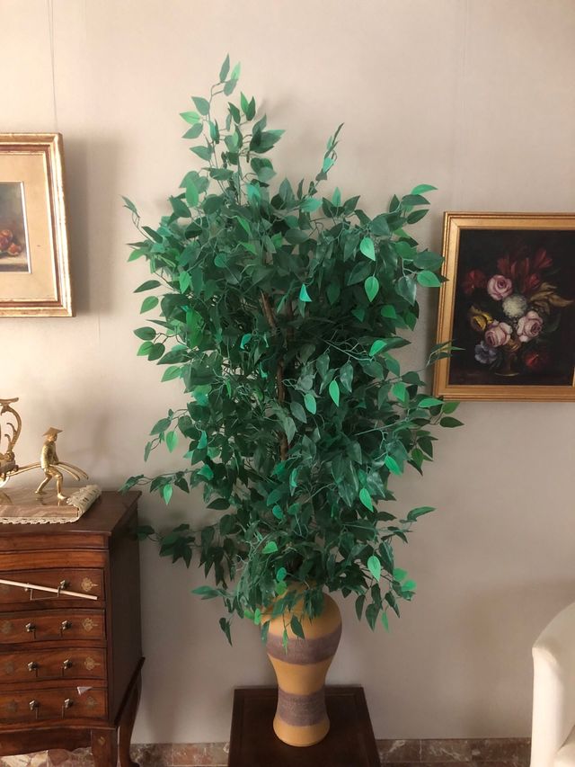 Árbol planta artificial y jarron