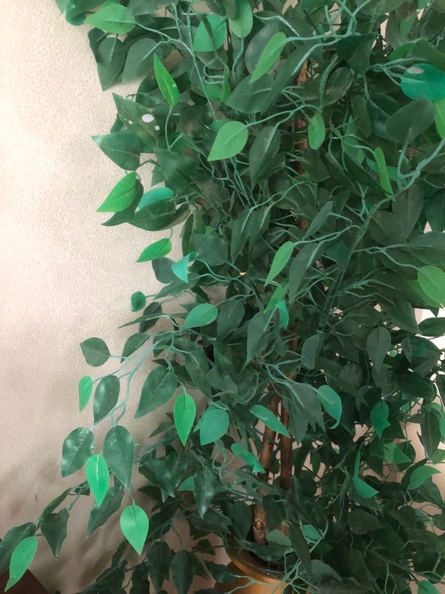 Árbol planta artificial y jarron