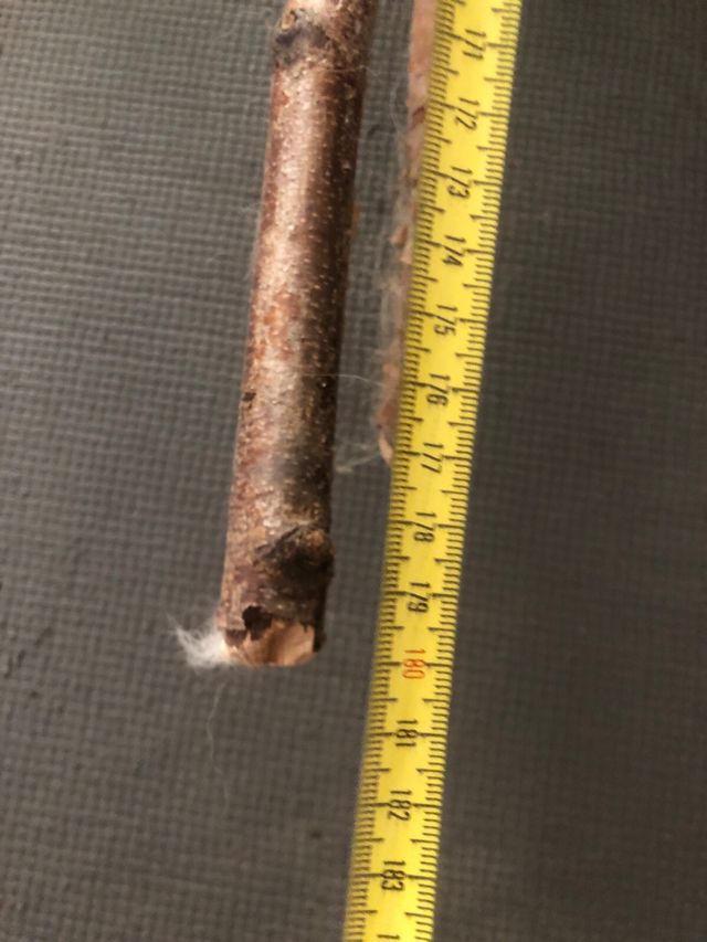 Árbol planta artificial y jarron