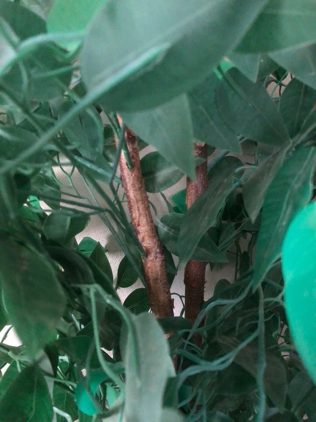 Árbol planta artificial y jarron