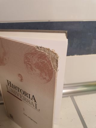 Historia universal los orígenes
