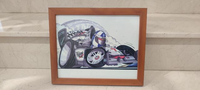 Cuadros coches F1