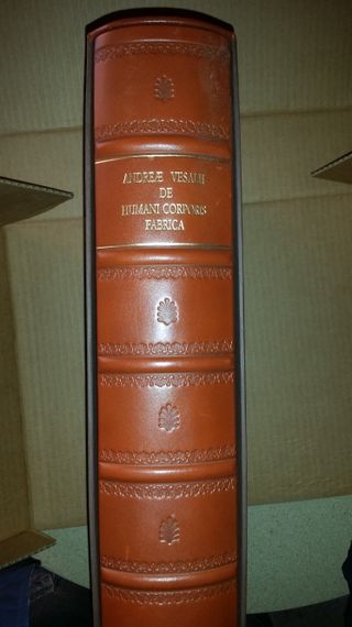DE HUMANI CORPORIS FABRICA