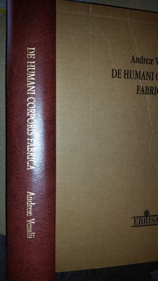 DE HUMANI CORPORIS FABRICA