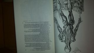 DE HUMANI CORPORIS FABRICA