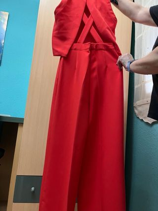 Mono rojo