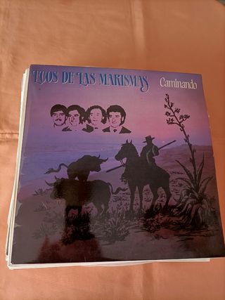 Discos de vinilo
