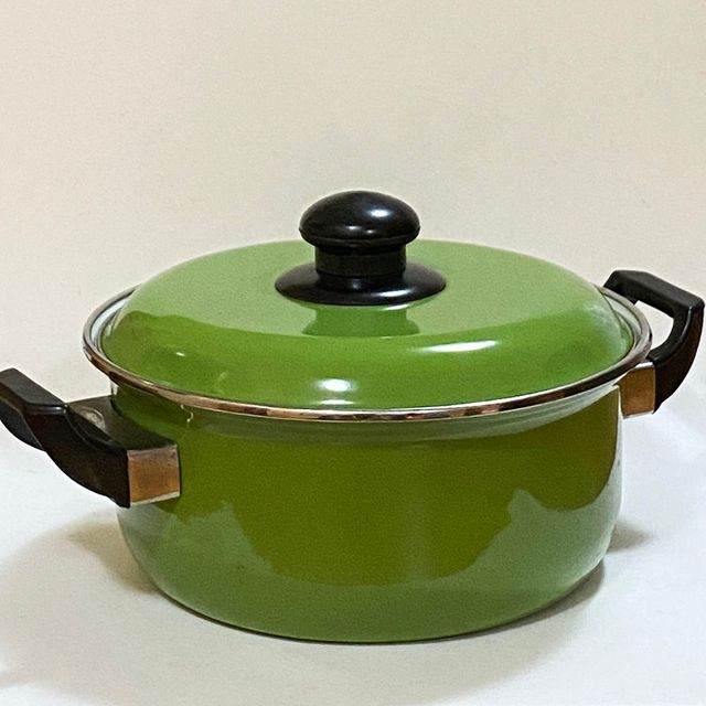 Set 2 Pentole + Coperchio Doppio Manico Verde