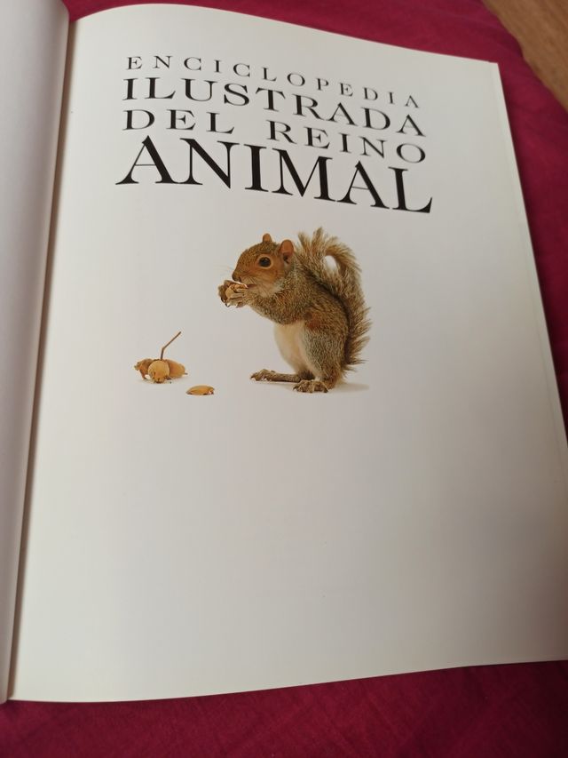 3x2 ENCICLOPEDIA ILUSTRADA DEL REINO ANIMAL