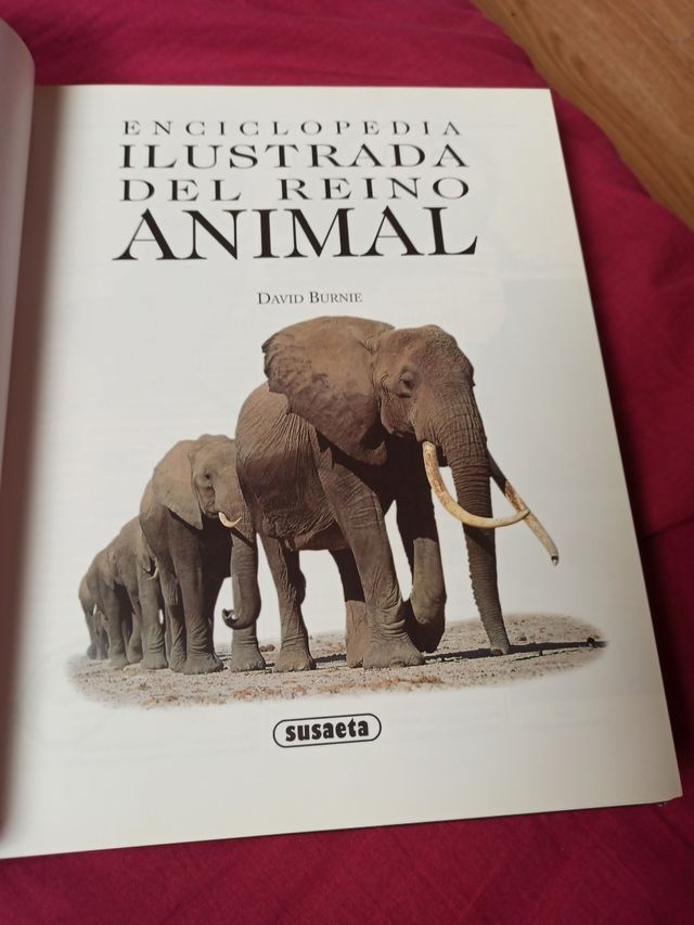 3x2 ENCICLOPEDIA ILUSTRADA DEL REINO ANIMAL