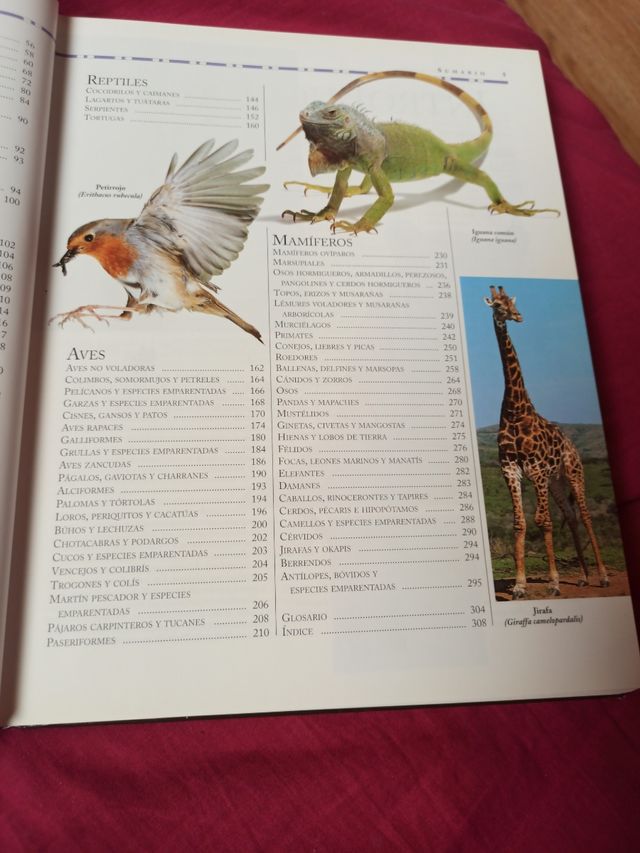 3x2 ENCICLOPEDIA ILUSTRADA DEL REINO ANIMAL