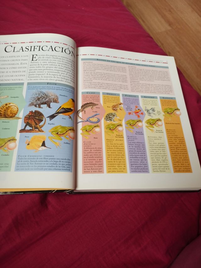 3x2 ENCICLOPEDIA ILUSTRADA DEL REINO ANIMAL
