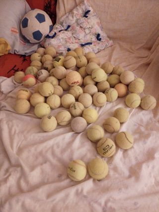 Pelotas de tenis 