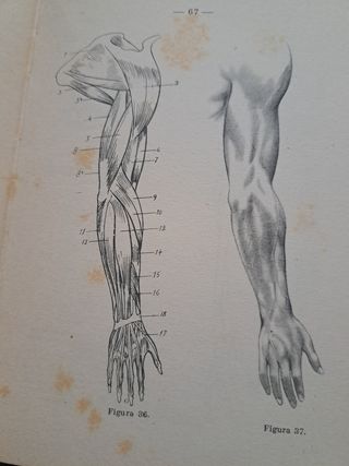 Lecciones de Dibujo Artístico 3* Parte.