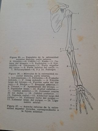 Lecciones de Dibujo Artístico 3* Parte.