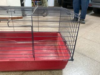 Jaula conejo/coballa