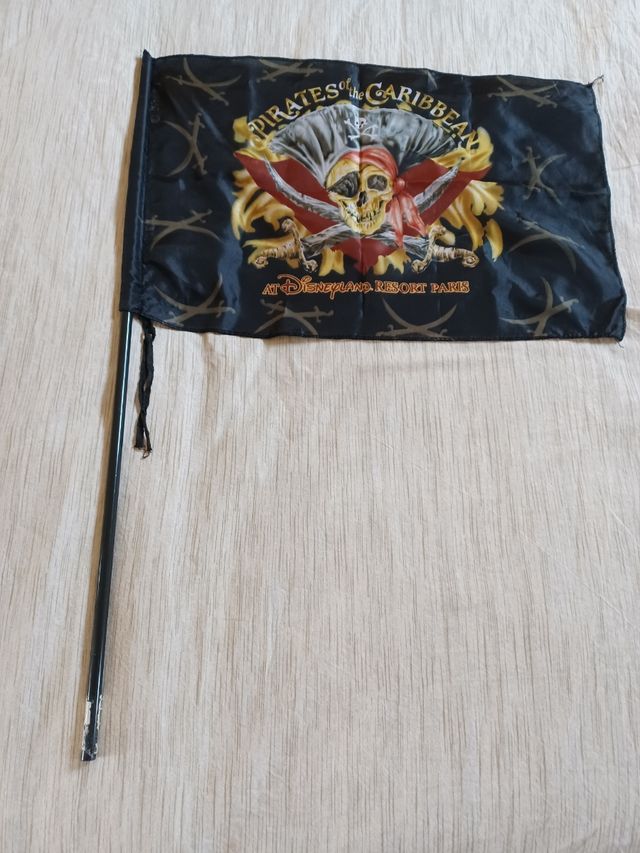 Bandera piratas del caribe 