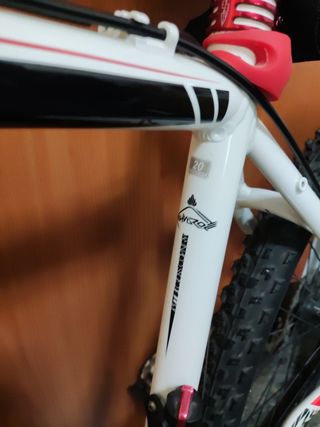 MTB Orbea thunder
