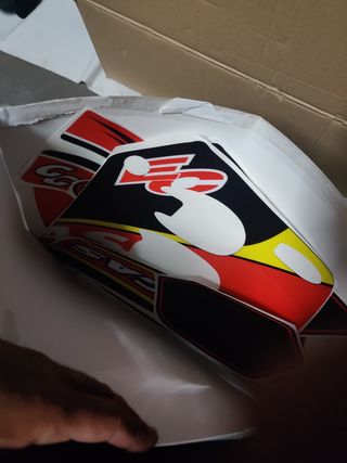 Gas gas 250