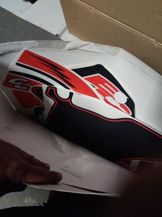 Gas gas 250
