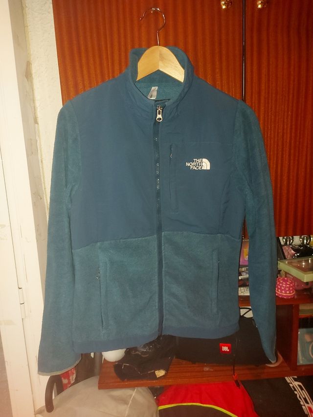 Polar the North face