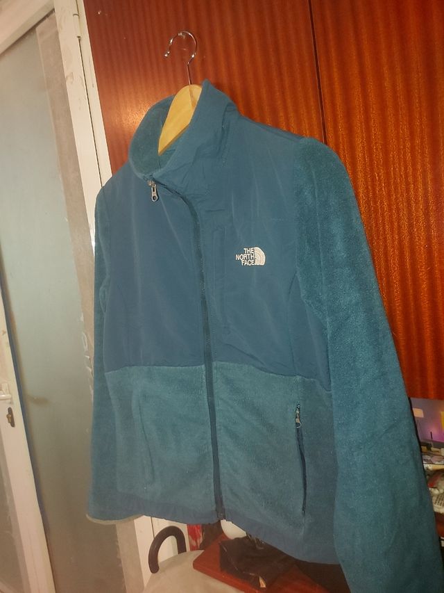 Polar the North face